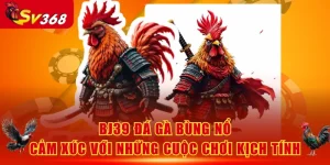BJ39 Đá Gà