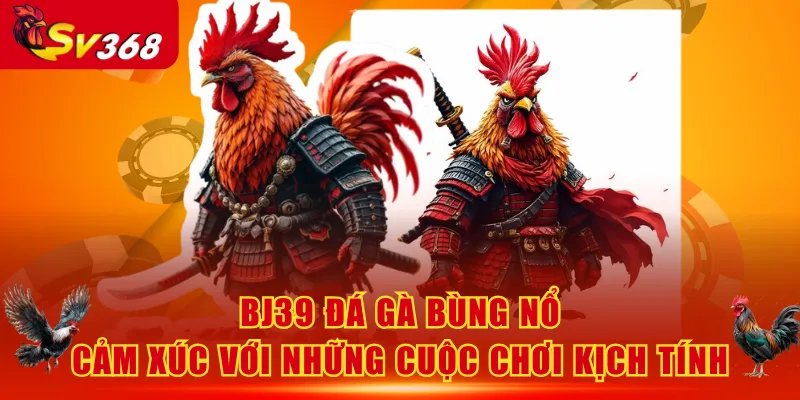 BJ39 Đá Gà