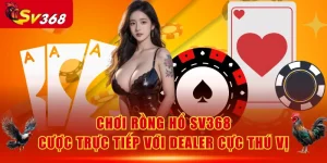 Rồng Hổ SV368