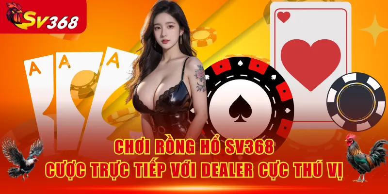 Rồng Hổ SV368