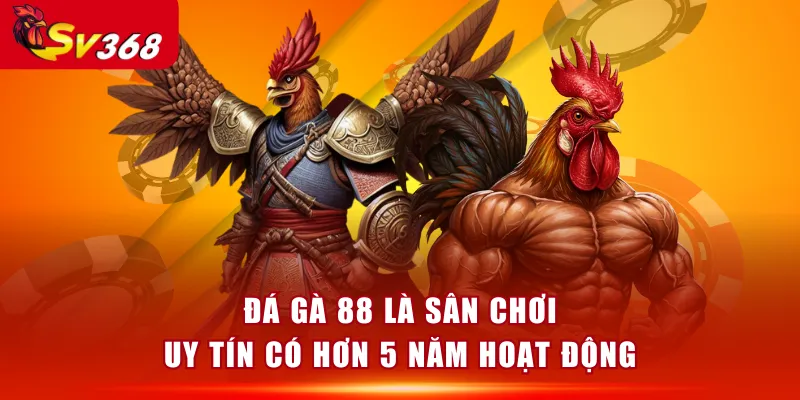 Đá Gà 88 là sân chơi uy tín có hơn 5 năm hoạt động