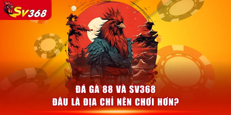 Đá Gà 88 và SV368 - Đâu là địa chỉ nên chơi hơn?