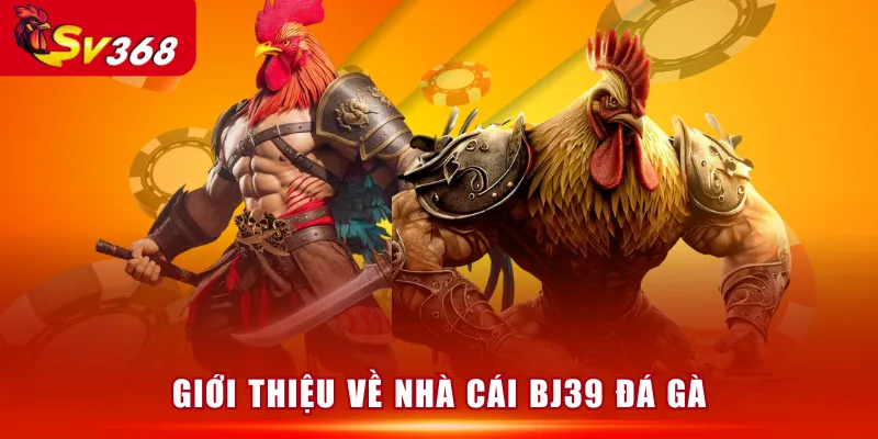 Giới thiệu về nhà cái BJ39 Đá Gà