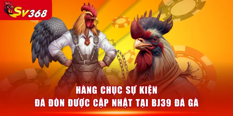 Hàng chục sự kiện đá đòn được cập nhật tại BJ39 Đá Gà