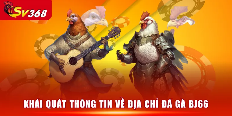 Khái quát thông tin về địa chỉ Đá Gà BJ66