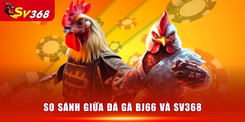 So sánh giữa Đá Gà BJ66 và SV368