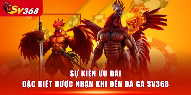 Sự kiện ưu đãi đặc biệt được nhận khi đến Đá Gà SV368