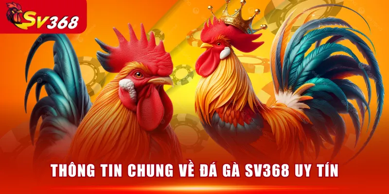 Thông tin chung về Đá Gà SV368 uy tín